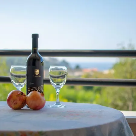 Irena With Bikes Included Apartment Pula